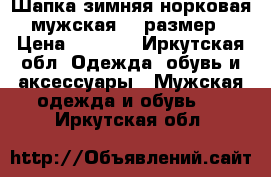 Шапка зимняя норковая мужская 58 размер › Цена ­ 6 300 - Иркутская обл. Одежда, обувь и аксессуары » Мужская одежда и обувь   . Иркутская обл.